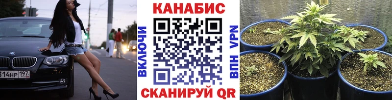 наркота  Староминская  Шишки марихуана индика 